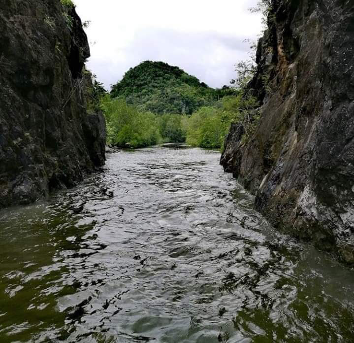 Boat route through mangrove cliffs