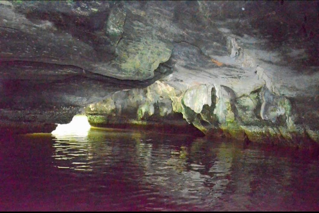 Inside a mangrove cave passage