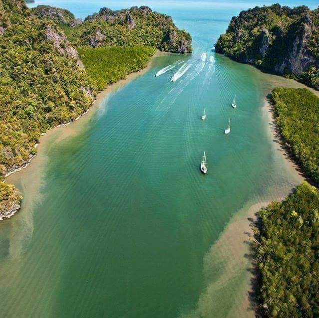 Aerial view of Kilim mangrove channel